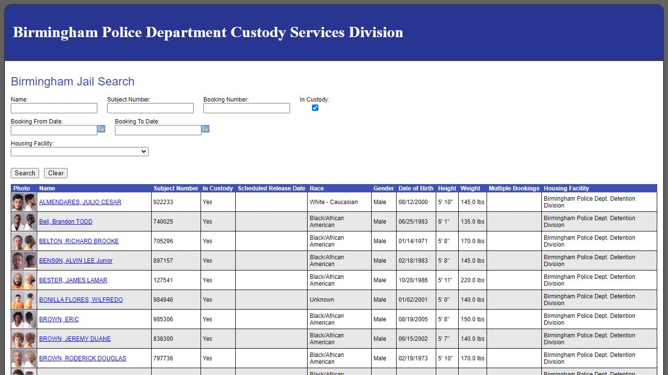 Birmingham Jail Search